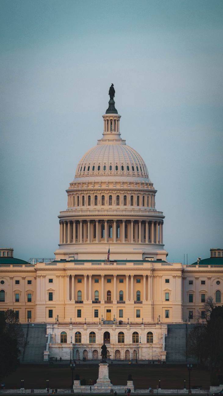 Political Systems 101 from First&nbsp;Principles